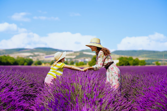 Provence in motorhome