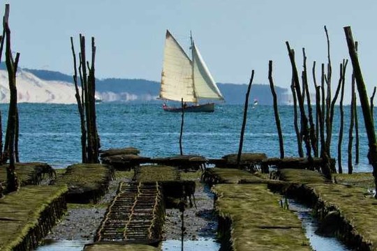 Road trip in a rental van to discover the Gironde