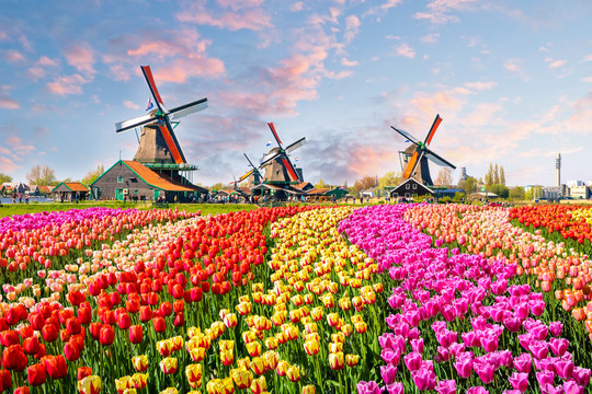 Voyage aux Pays-Bas, sur une terre de couleurs