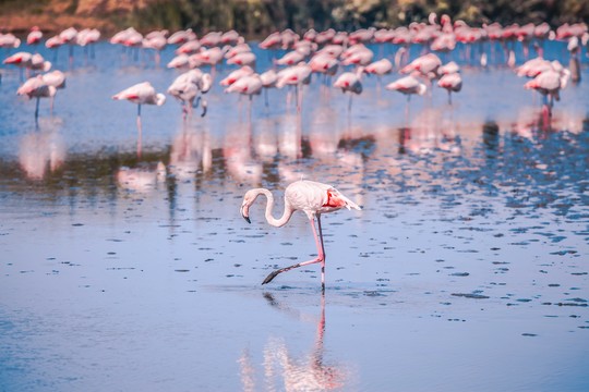 Natural Parks in France: which ones to explore in a motorhome?