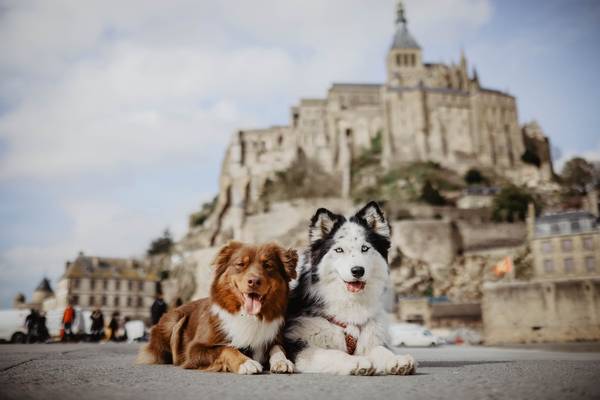 Le Mont Saint-Michel avec Lou et Ova
