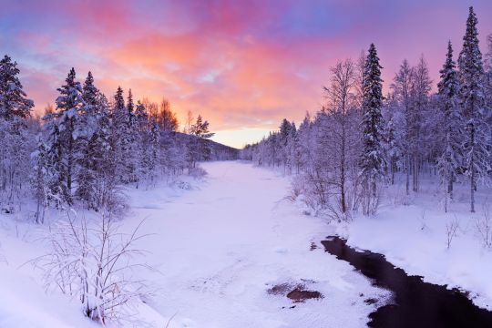Forêt enneigée près de Levi en Laponie, traversée par une rivière gelée sous un lever de soleil polaire, spot naturel idéal lors d’un road trip en van