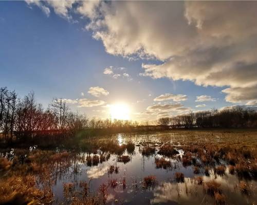 Coucher du soleil au parc du Marquenterre