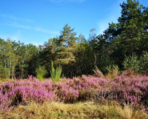 Le parc naturel régional de l'Oise