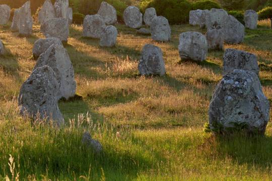 Alignement de menhirs dans la lumière dorée à Carnac en Bretagne, un site mystérieux et incontournable lors d’un road trip en van en France.