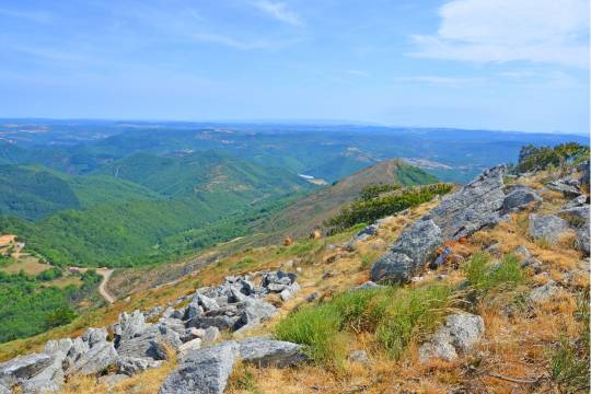 Panorama sur les monts verdoyants des Cévennes depuis un sentier rocailleux, idéal pour une escapade nature lors d’un road trip en van dans le sud de la France.