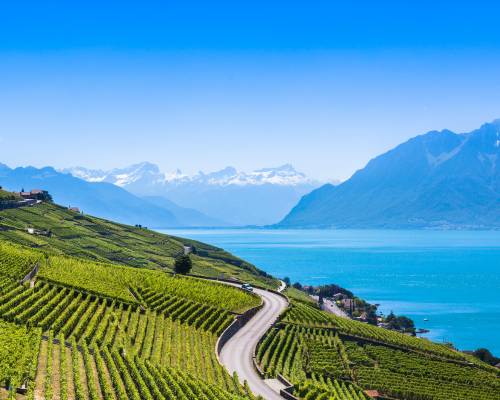Vignobles de la région de Lavaux avec vue sur le lac Léman- Terrasses de Lavaux, Suisse